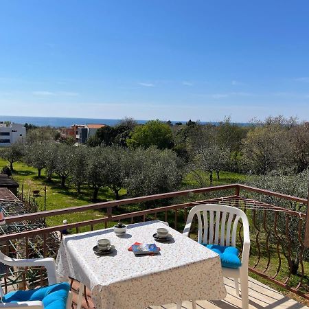 Apartments Konceta Poreč Eksteriør bilde